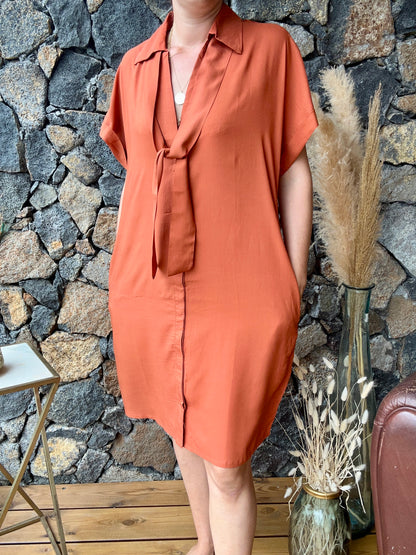 Adoptez un look chic et durable avec notre robe viscose terracotta, en vente sur notre boutique en ligne sur l'île de La Réunion. Mode responsable avec des fibres semi naturelles, profitez d'une livraison rapide et gratuite à partir de 100€ d'achat.